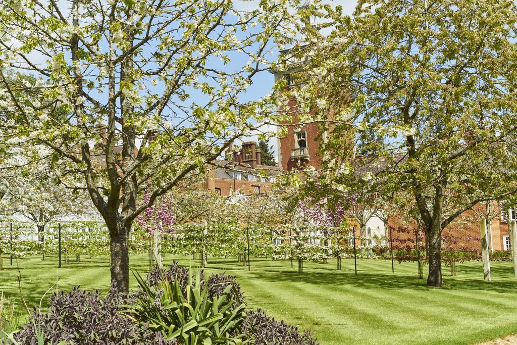 Tylney Hall Hotel Hook  Ngoại thất bức ảnh